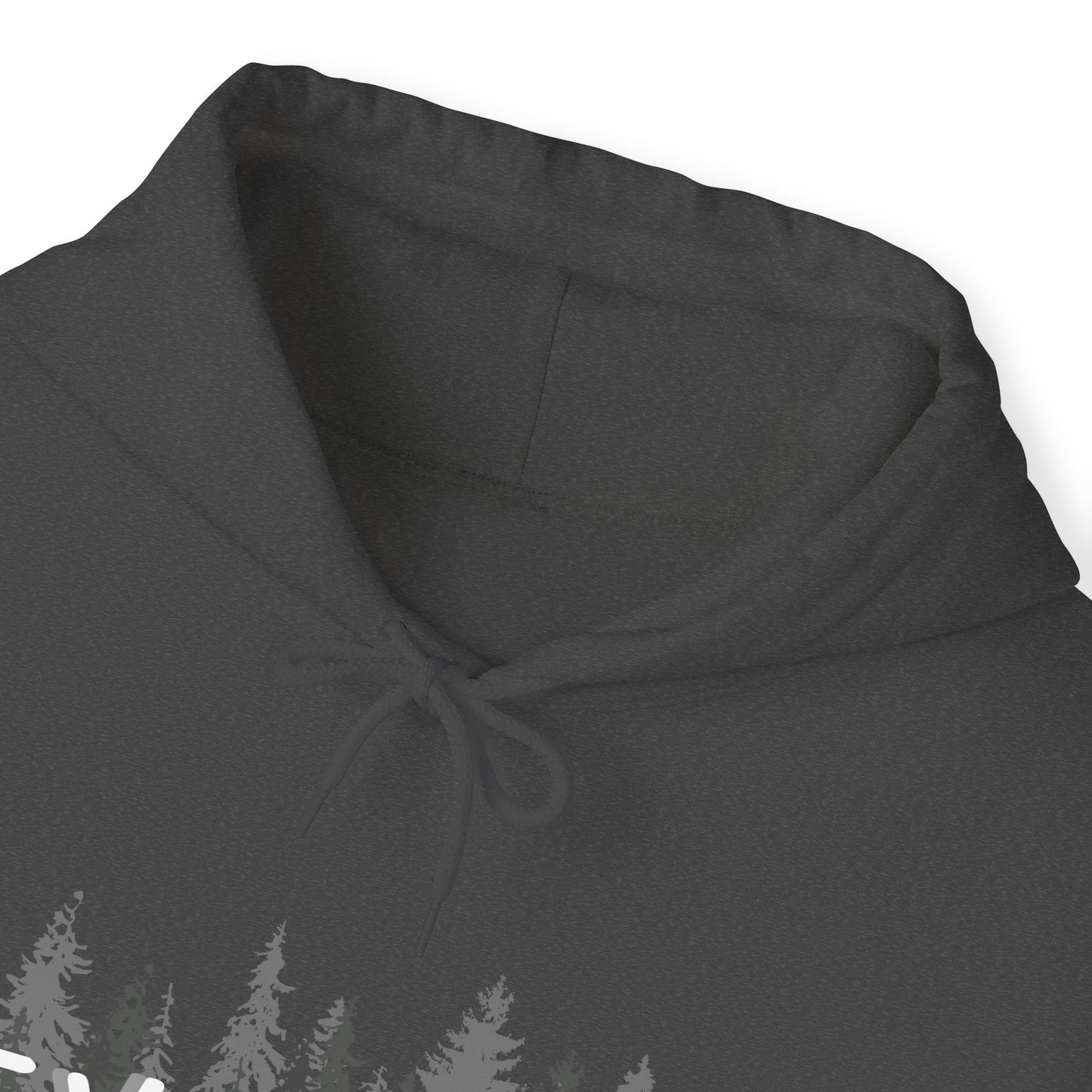Explore Mountain Adventure Trees Heavy Blend™ Hooded Sweatshirt