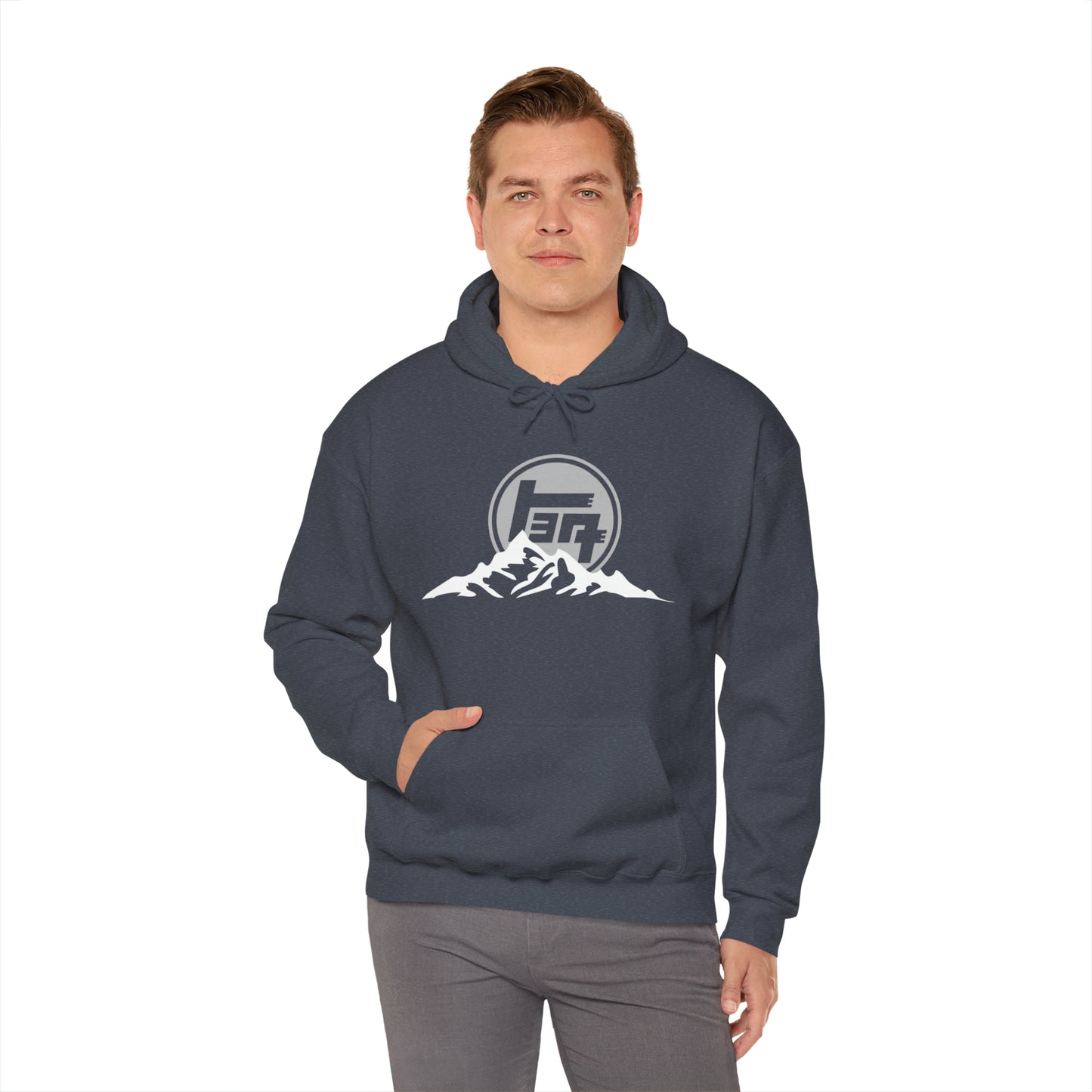 TEQ Mountain Vintage Heavy Blend™ Hooded Sweatshirt