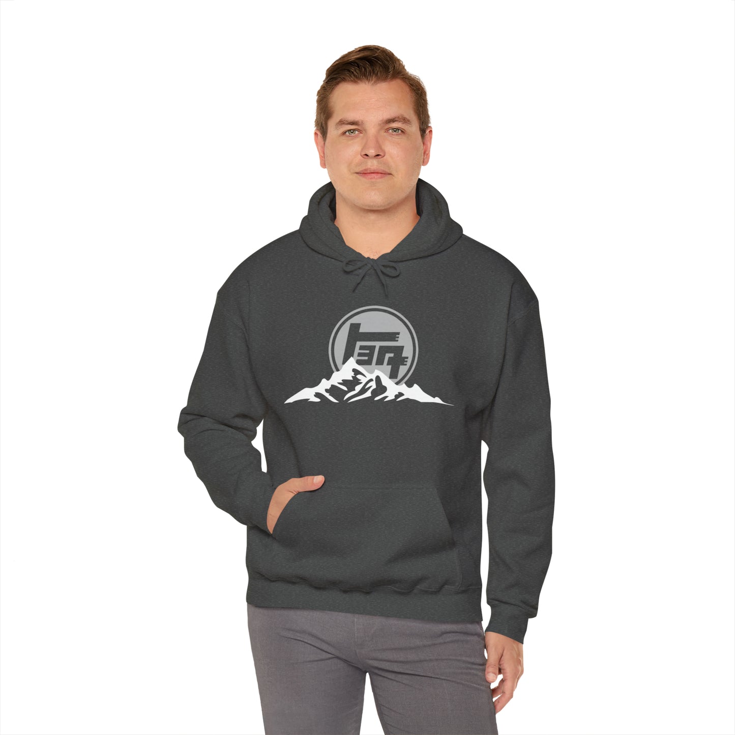 TEQ Mountain Vintage Heavy Blend™ Hooded Sweatshirt